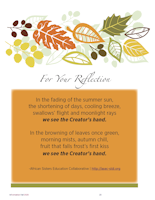 Cover of InFormation 2020 Number 3, Fall