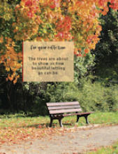 Image from InFormation 2019 Number 3, Fall