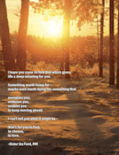 Cover of InFormation 2020 Number 4, Winter