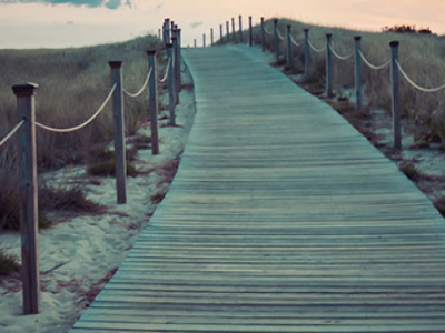 InFormation Special Edition