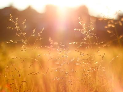 ForMission Summer 2023