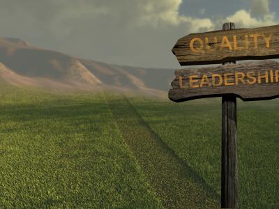 Interim Co-Executive Directors